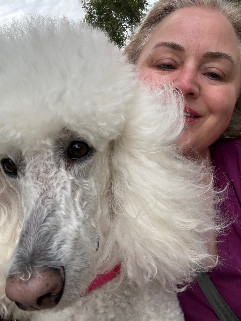 Meet your Posher, Mary